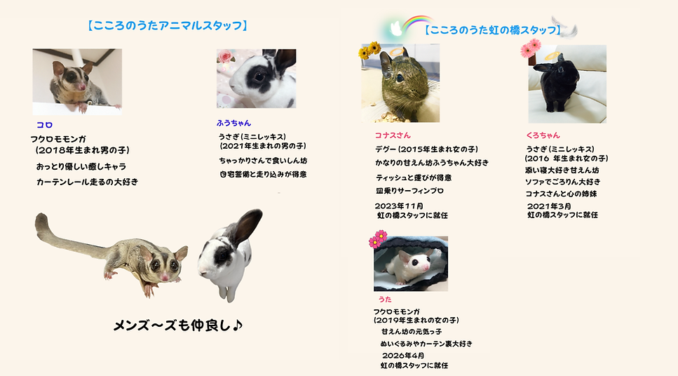 アニマルスタッフ.png