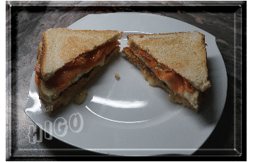 lachscamembert2thumb.gif