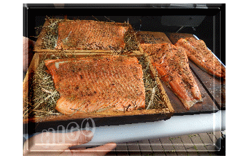 grillkurs-lachsthumb.gif
