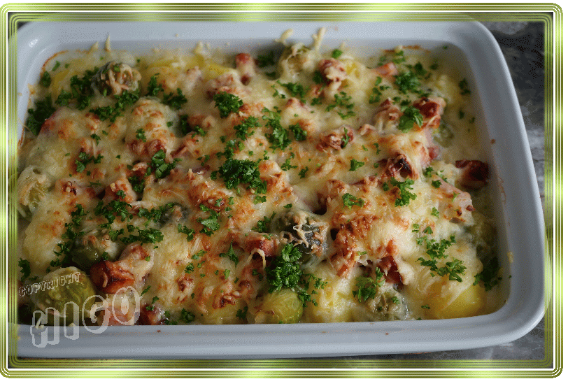 kassler-rosenkohl-auflauf2.gif