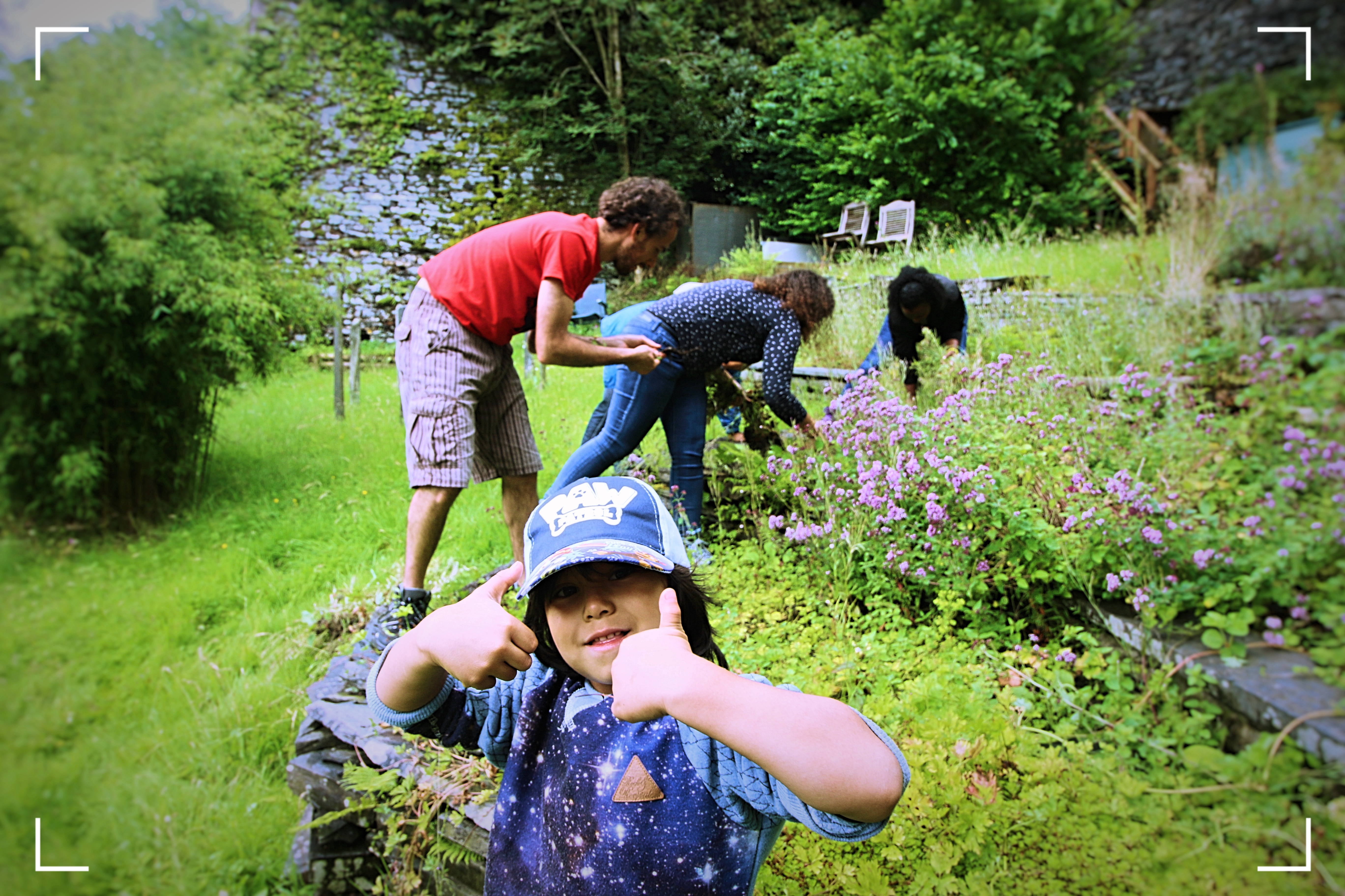 Braich Goch Garden