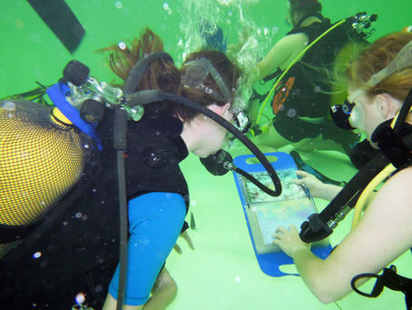 REPRISES DES ACTIVITES AU NAUTILUS