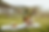 J & G Wedding Website (3).png