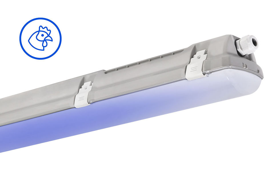 Hình thu nhỏ: ĐÈN LED TREVOS PRIMA 1.5ft ABS 8000/840 BLUE