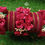 Thumbnail: Bangles With Flower Bangles Bridal Wedding Collection Party Wear Bangles Jewelr