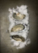 LYS Trio Oysters