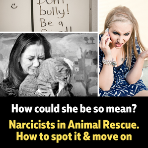 Altruistic Narcissism - Animal Rescue Cooperative (ARC) Article (Shared)  