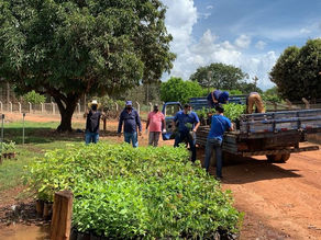 Usina doa mil mudas para Secretária de Meio Ambiente de Rubiataba
