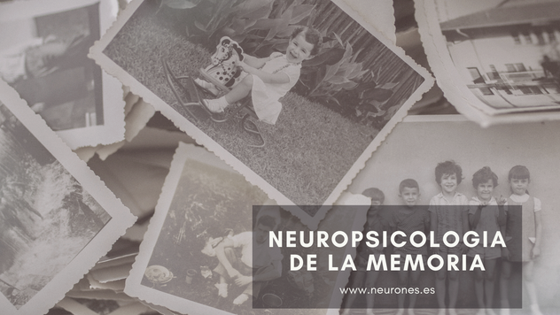 Neuropsicología de la memoria. Tipos y estructuras cerebrales