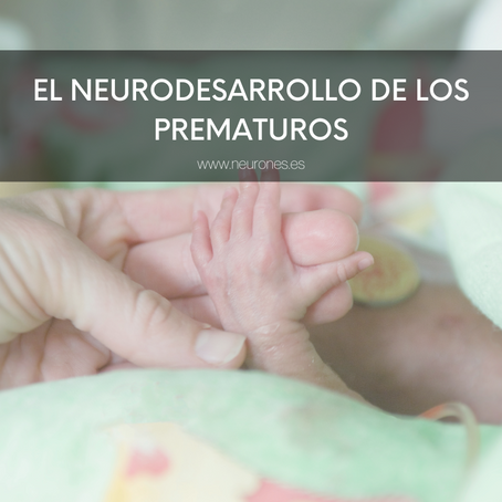 El neurodesarrollo de los prematuros