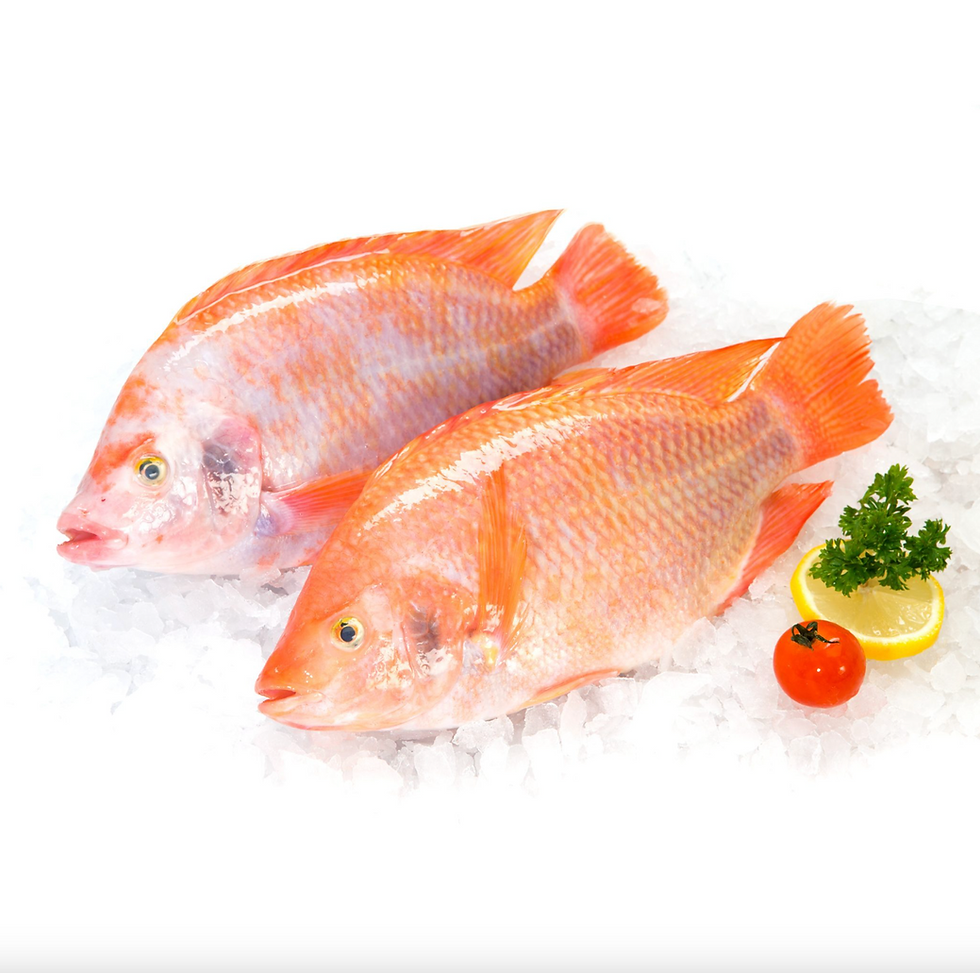 Pescado Colombiano: El Secreto Mejor Guardado de Antioquia