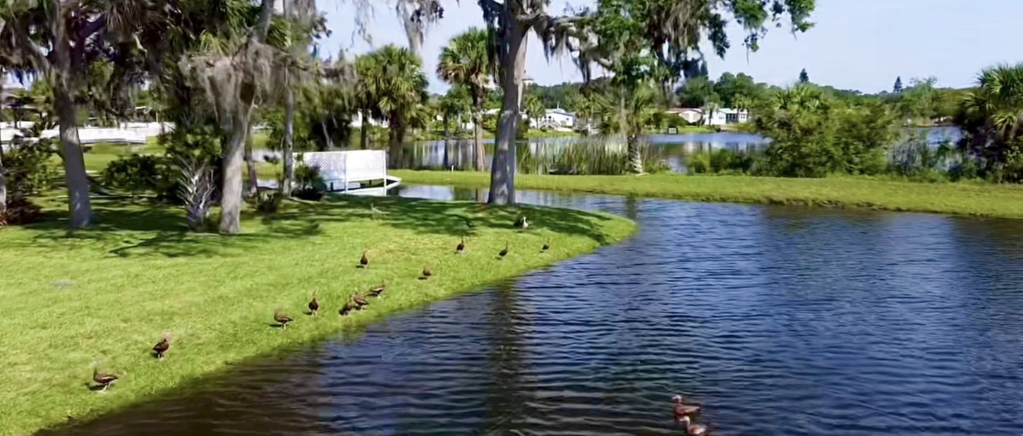 Swan Lake Estates Titusville, FLPremier 55+ Manufactured Home Community