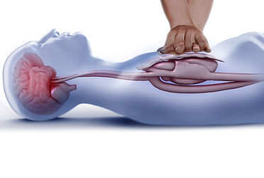 CPR BLS