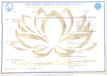 Cosmo KUSA cert.PNG