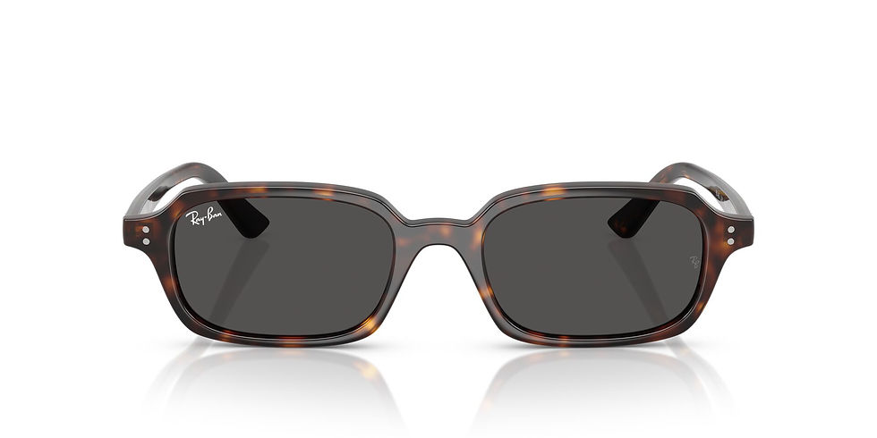 Thumbnail: Ray-Ban Zuri RB 4455 135987