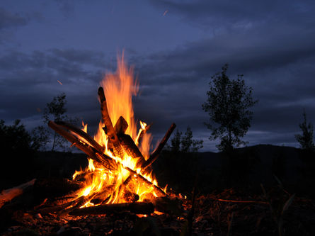 The AI bonfire through the eyes of an industrial company