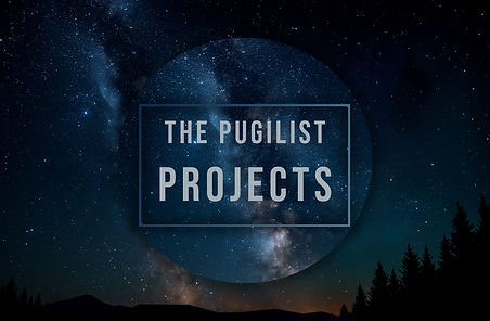 Pugilist Projects.jpg