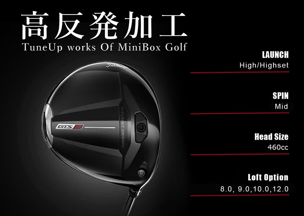 Titleist GTS.jpg
