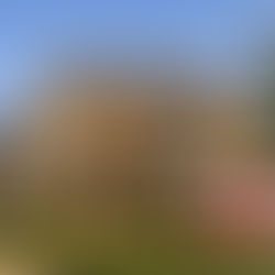 Sell my house fast in Frisco TX – local cash home buyers