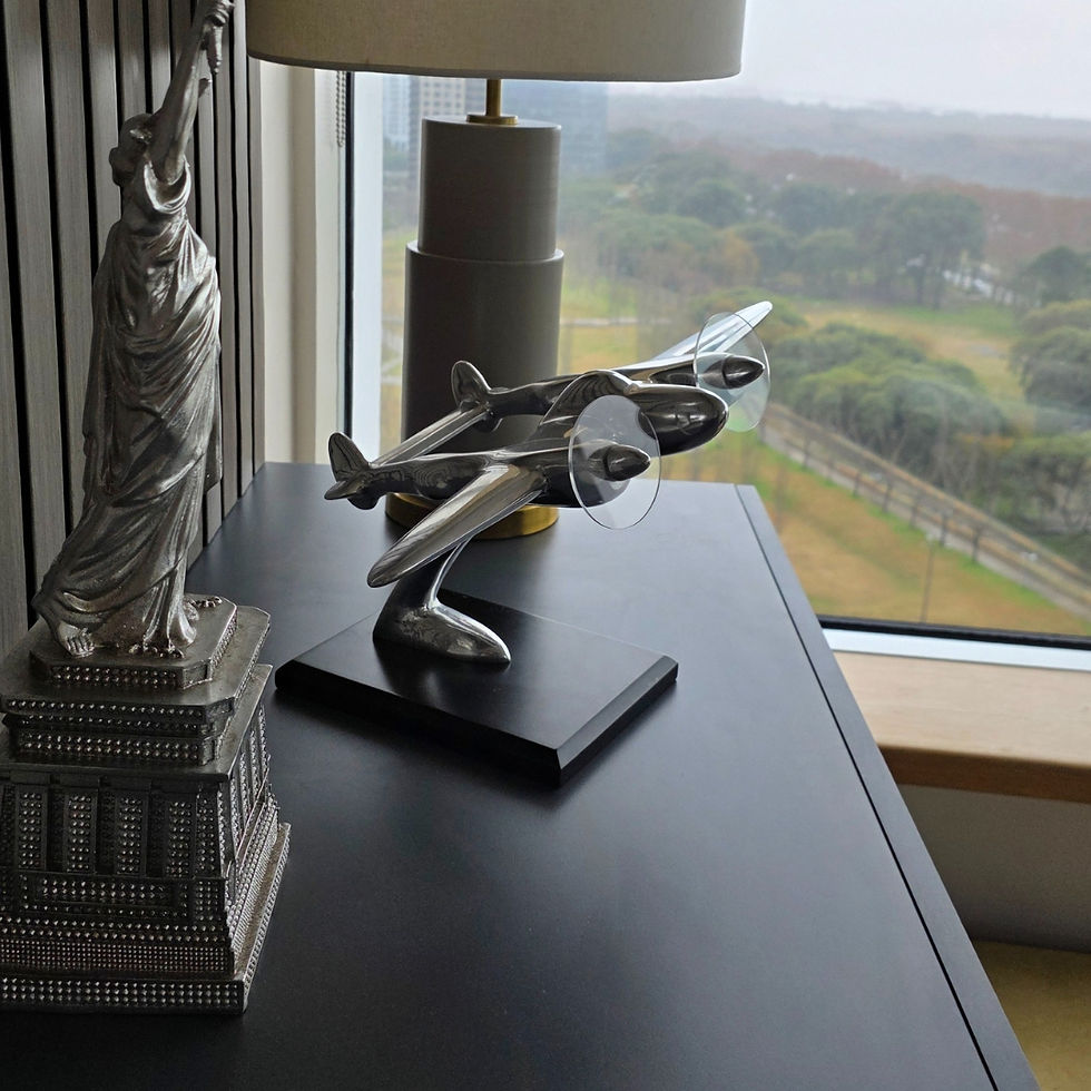 Miniatura: Escultura P-38 Lightning