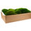 Thumbnail: Preserved Long Moss