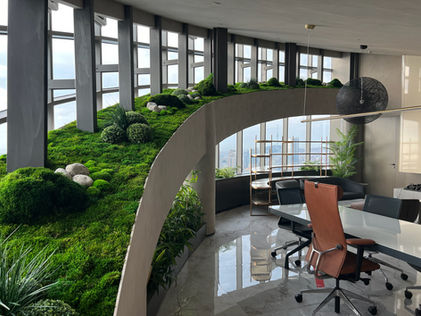 Eco-Friendly Moss Solutions for Sustainable Interiors