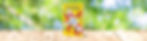 BANDE SUMMER poche demoiselles.jpg