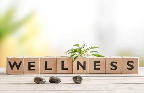 Wellness Pic.jpg