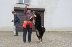 IMG_7870.JPG