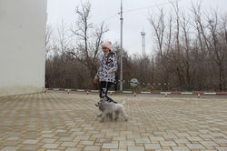 Занятие "ЮХ", 28.02.2016