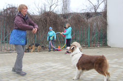 IMG_7903.JPG