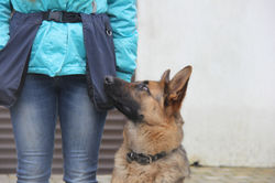 IMG_7836.JPG