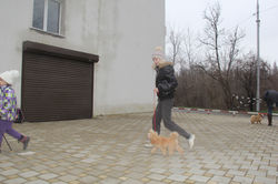 Занятие "ЮХ", 28.02.2016
