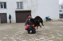 IMG_7793.JPG