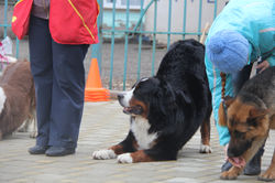 IMG_7824.JPG