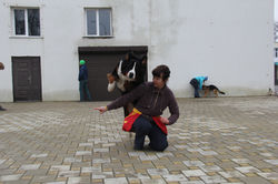 IMG_7791.JPG