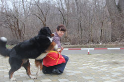 IMG_7784.JPG