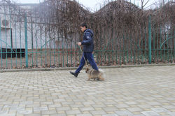 Занятие "ЮХ", 28.02.2016