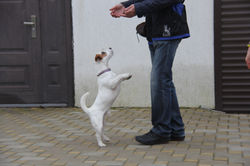 IMG_7866.JPG