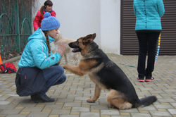 IMG_7879.JPG