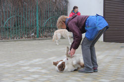 IMG_7800.JPG