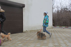 Занятие "ЮХ", 28.02.2016