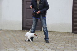 IMG_7880.JPG