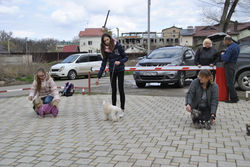 ШПП