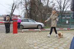 Выставочная подготовка 28.02.2016