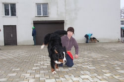 IMG_7792.JPG