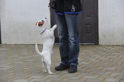 IMG_7861.JPG