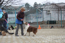 IMG_7913.JPG