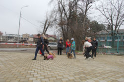 Занятие "ЮХ", 28.02.2016