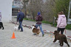 ПВ